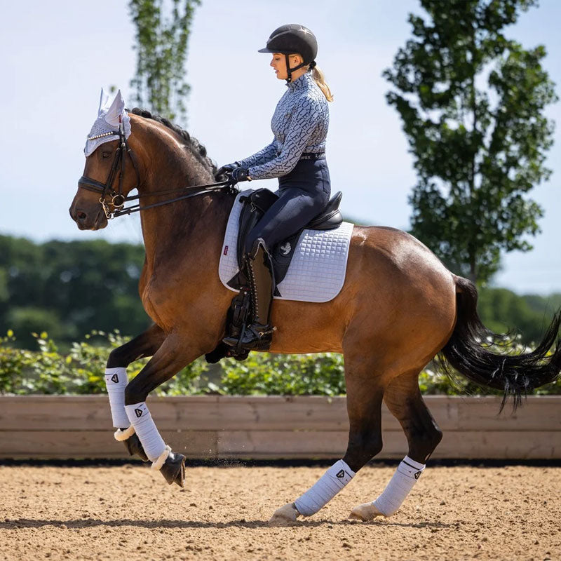 LeMieux - Bandes de polo Classic mist (x4) | - Ohlala