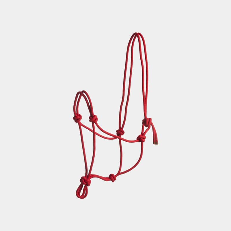 Licol corde First rouge | - Ohlala