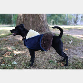 Kentucky Horsewear - Manteaux pour chiens 160g marine | - Ohlala