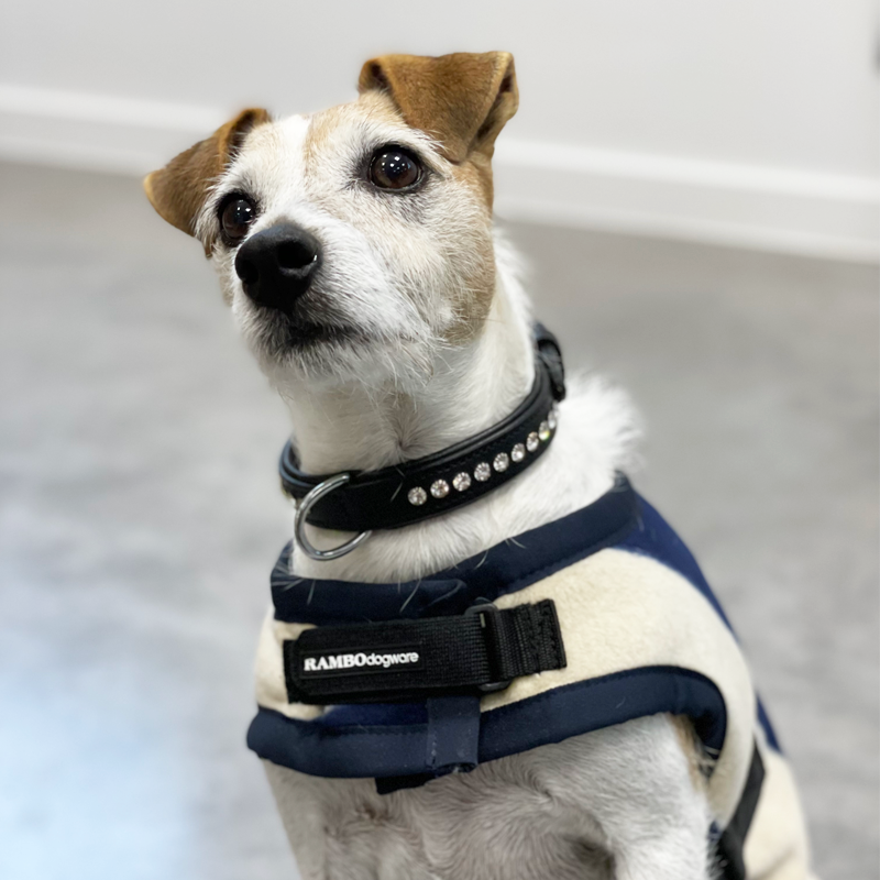 Horseware - Couverture pour chien Rambo Deluxe rayé bleu/ blanc | - Ohlala