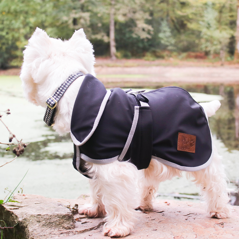 Diego & Louna - Manteau pour chiens softshell | - Ohlala