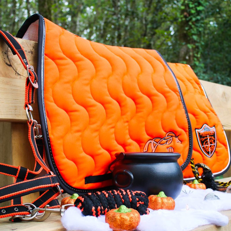 Equithème - Licol + longe Satiné noir/orange | - Ohlala