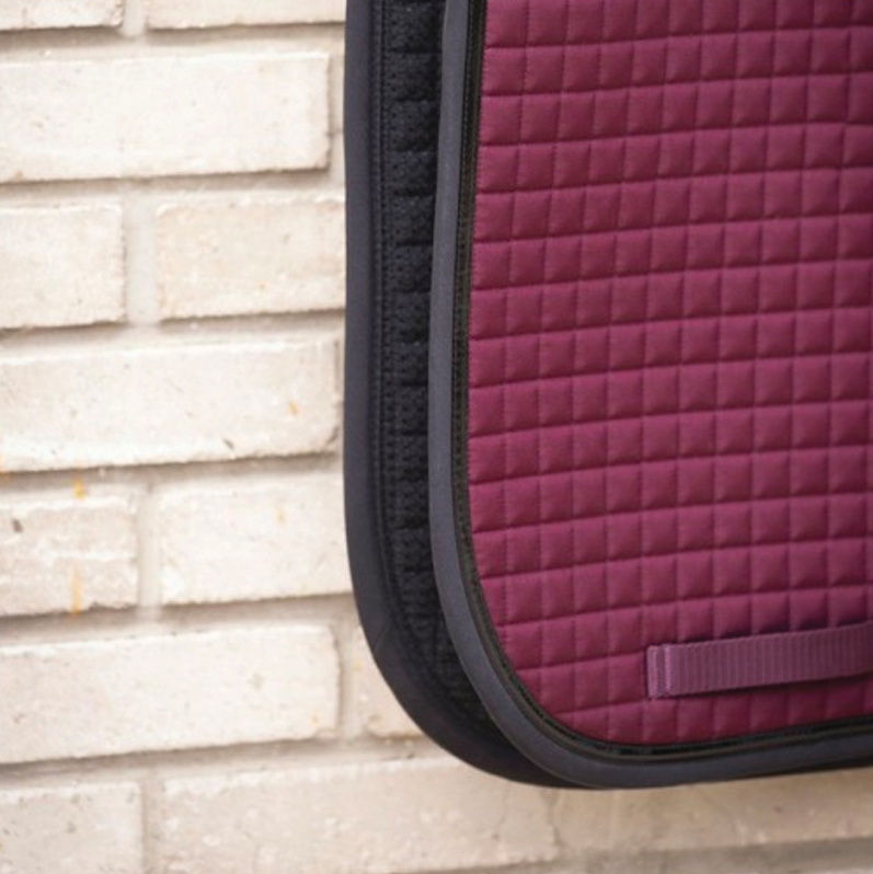 Paddock Sport - Tapis de dressage Americain prune | - Ohlala