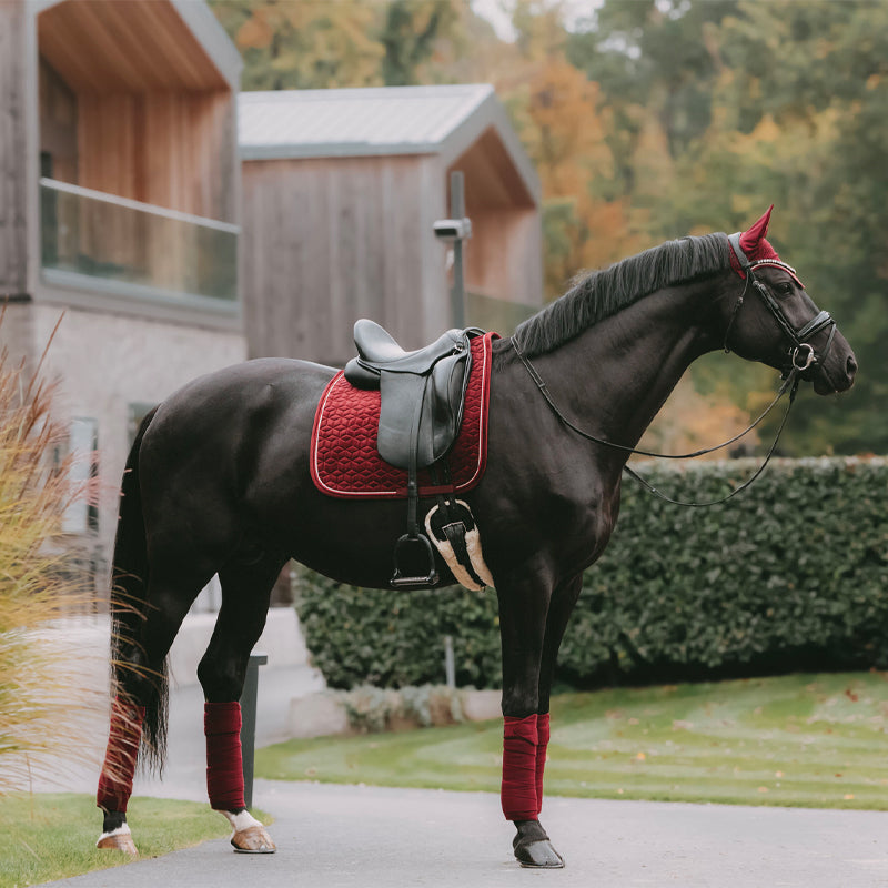 Kentucky Horsewear - Bandes de polo velvet bordeaux (x4) | - Ohlala