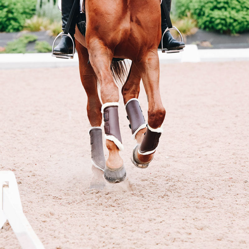 Kentucky Horsewear - Guêtres cheval Turn Out cuir postérieurs marron | - Ohlala