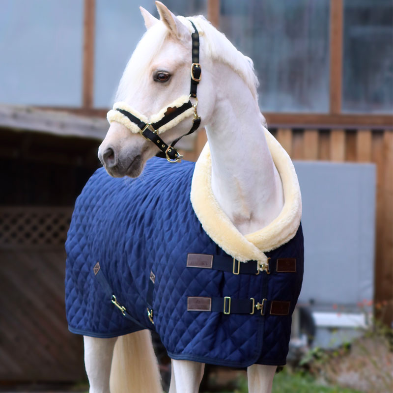 Kentucky Horsewear - Couverture de présentation marine 160g | - Ohlala