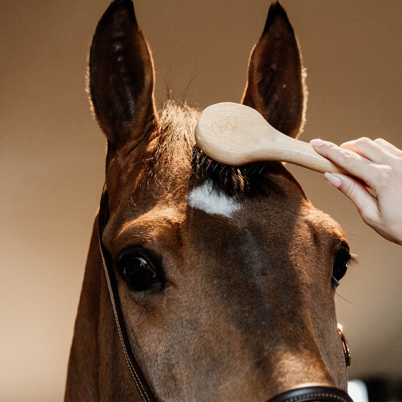 Grooming Deluxe - Brosse à crins | - Ohlala