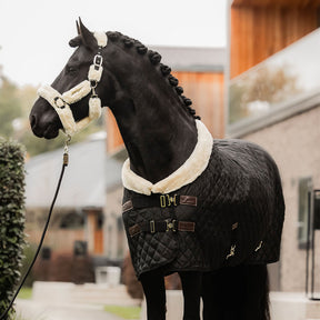 Kentucky Horsewear - Couverture de présentation noir 160g | - Ohlala