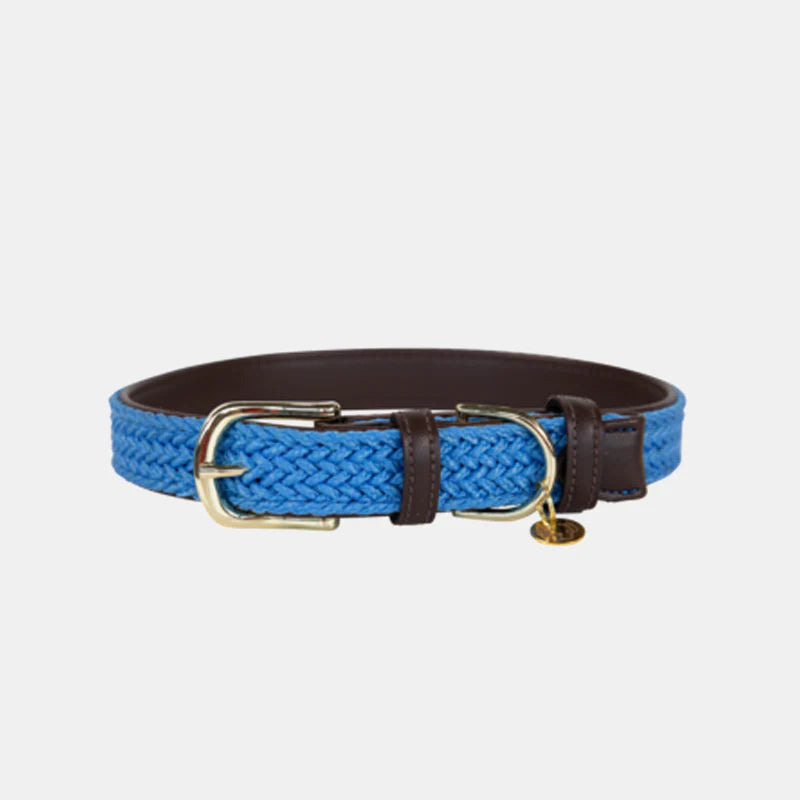 Kentucky Dogwear - Nylon tressé collier de chien bleu clair | - Ohlala