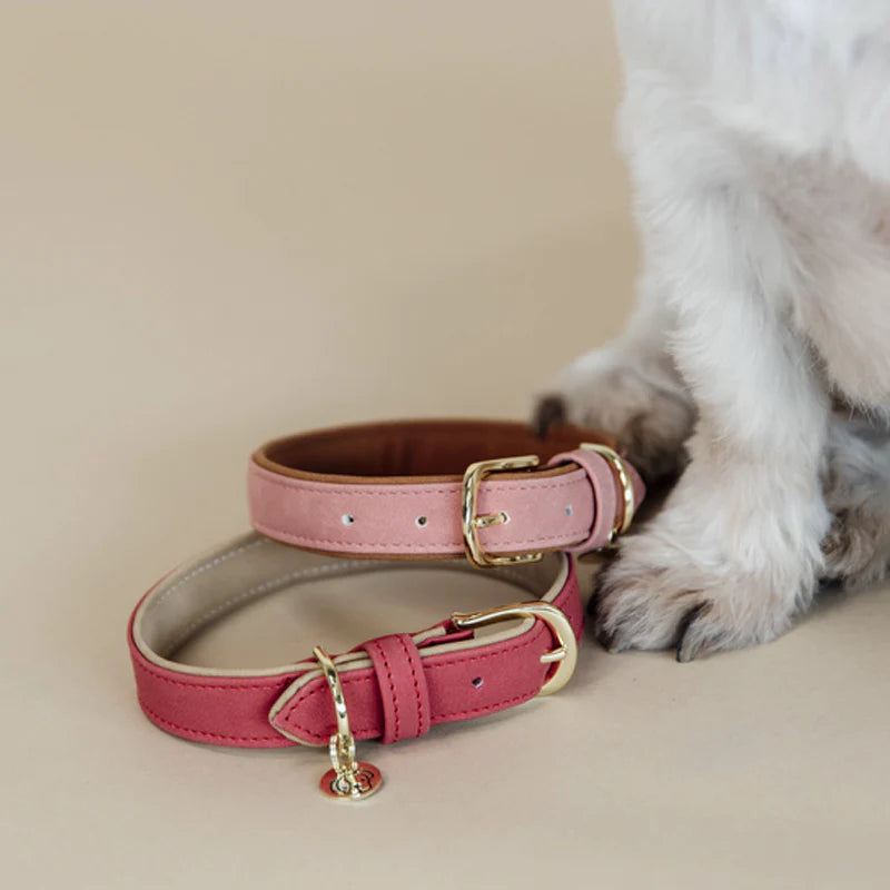 Kentucky Dogwear - Collier pour chien vegan leather red/beige | - Ohlala