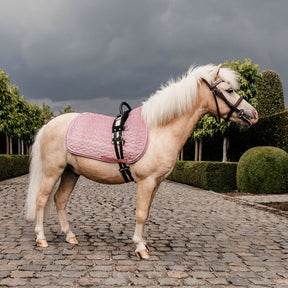 Kentucky Horsewear - Tapis de selle Velvet Jumping Vieux rose pour minis | - Ohlala