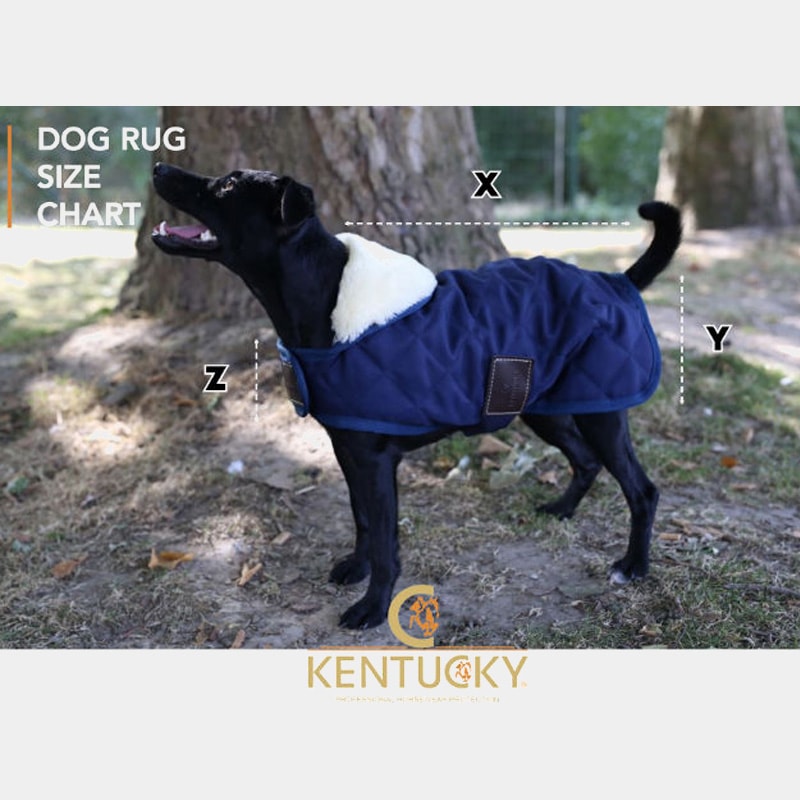 Kentucky Horsewear - Manteaux pour chiens 160g marine | - Ohlala