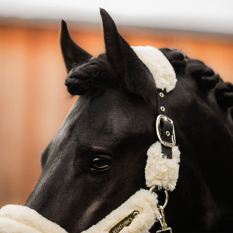 Kentucky Horsewear - Licol de transport mouton blanc | - Ohlala