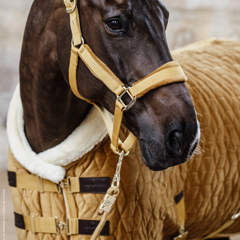 Kentucky Horsewear - Licol Velvet moutarde | - Ohlala