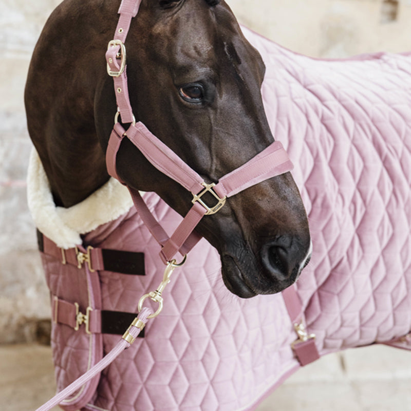 Kentucky Horsewear - Longe nylon 2m Velvet vieux rose | - Ohlala