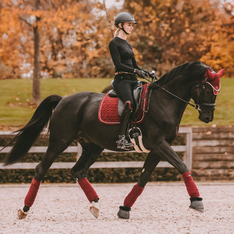 Kentucky Horsewear - Bandes de polo velvet bordeaux (x4) | - Ohlala