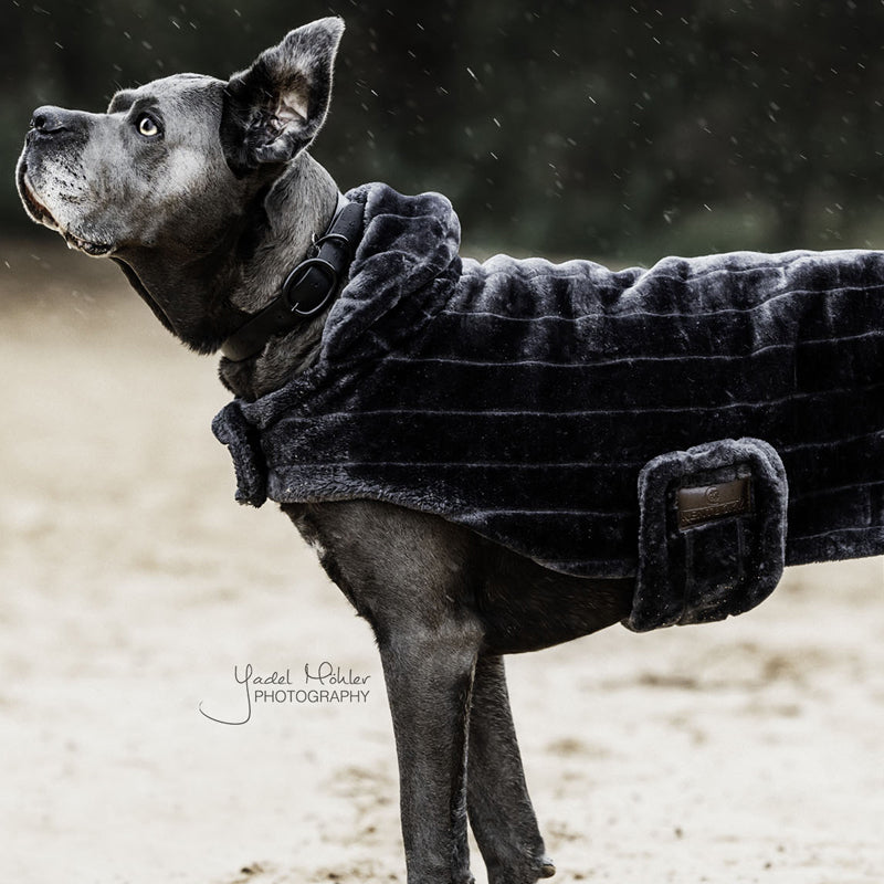 Kentucky Dogwear - Manteaux pour chiens Faux Fur gris | - Ohlala