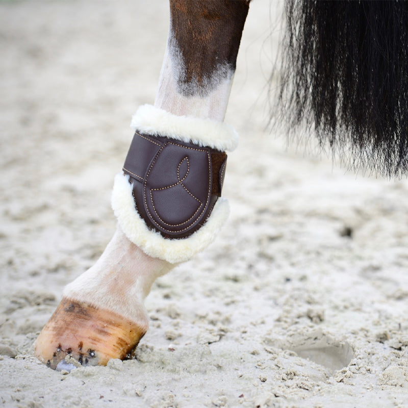 Kentucky Horsewear - Protège-boulets cuir mouton marron | - Ohlala