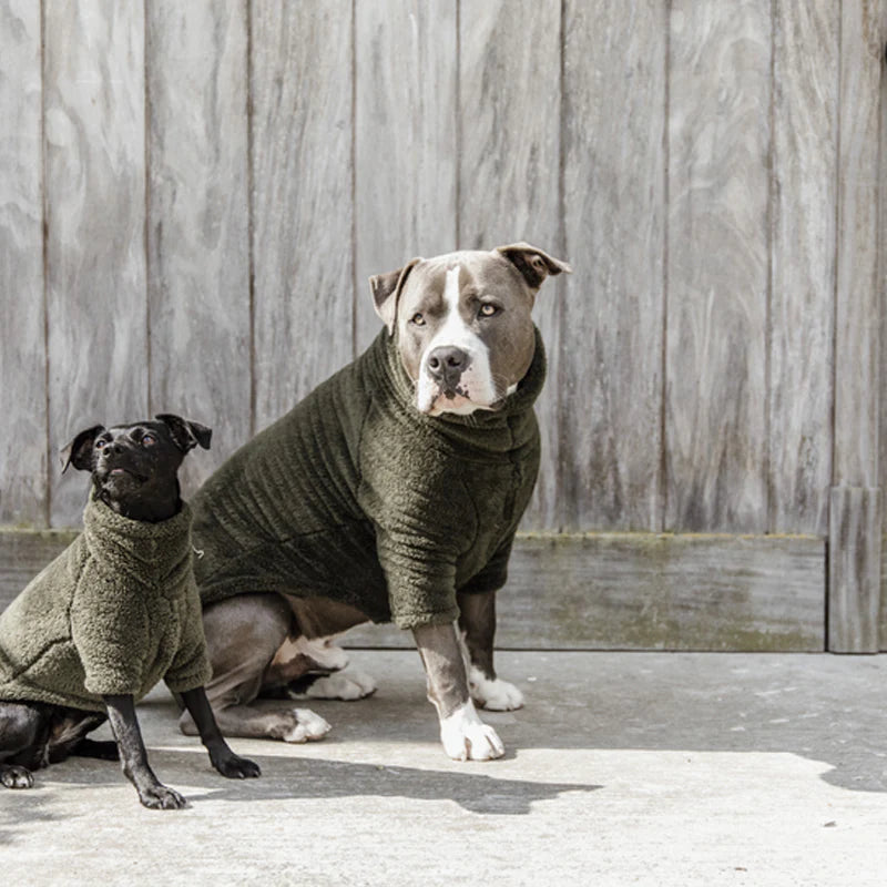 Kentucky Dogwear - Pull pour chien teddy fleece vert sapin | - Ohlala