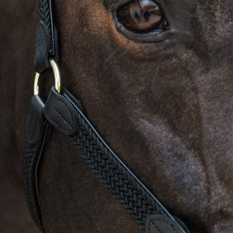 Kentucky Horsewear - Licol cheval nylon tressé noir | - Ohlala