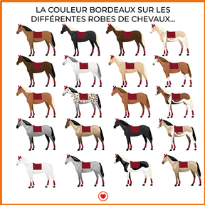 Privilège Equitation - Tapis de selle Del Mar bordeaux/taupe | - Ohlala