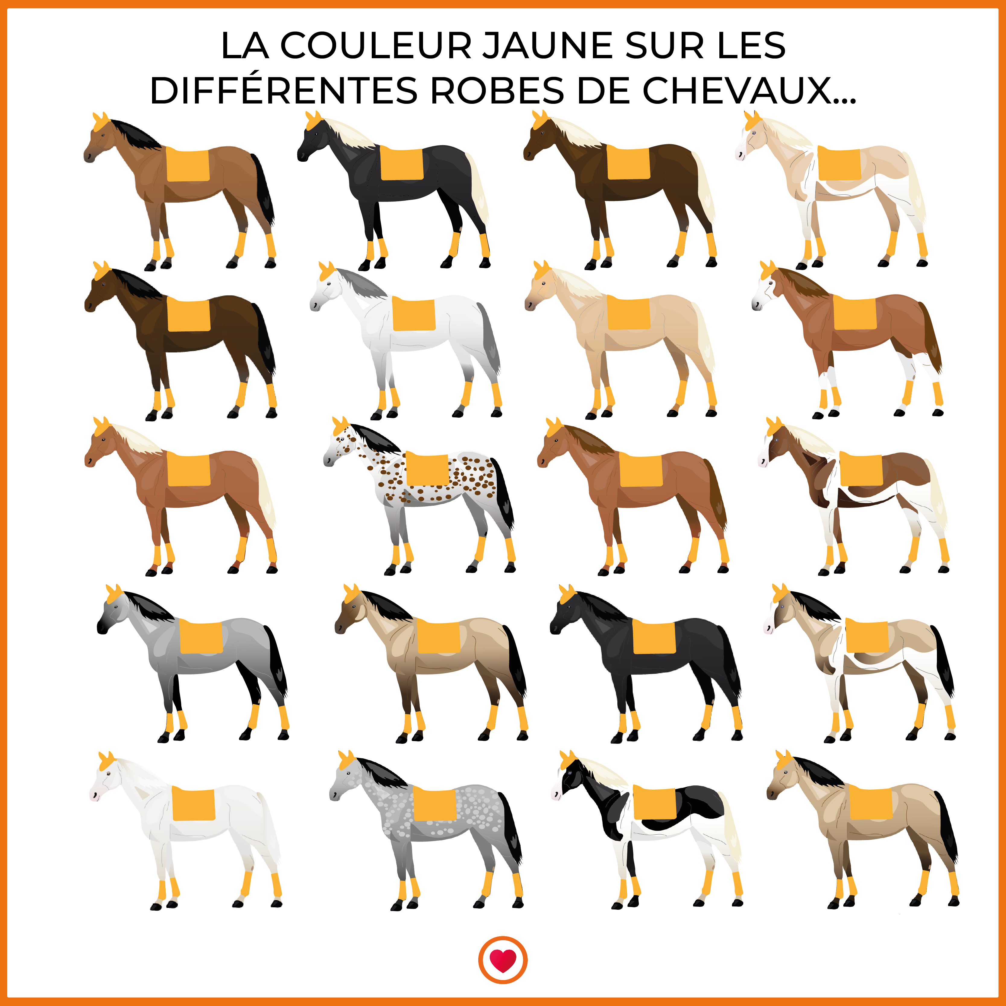 Paddock Sport - Tapis de selle Origine jaune | - Ohlala