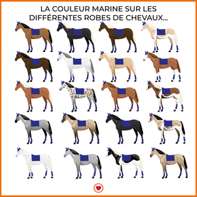 Harcour - Tapis de selle Chantilly Marine / Bleu électrique - Blanc / Bleu électrique | - Ohlala