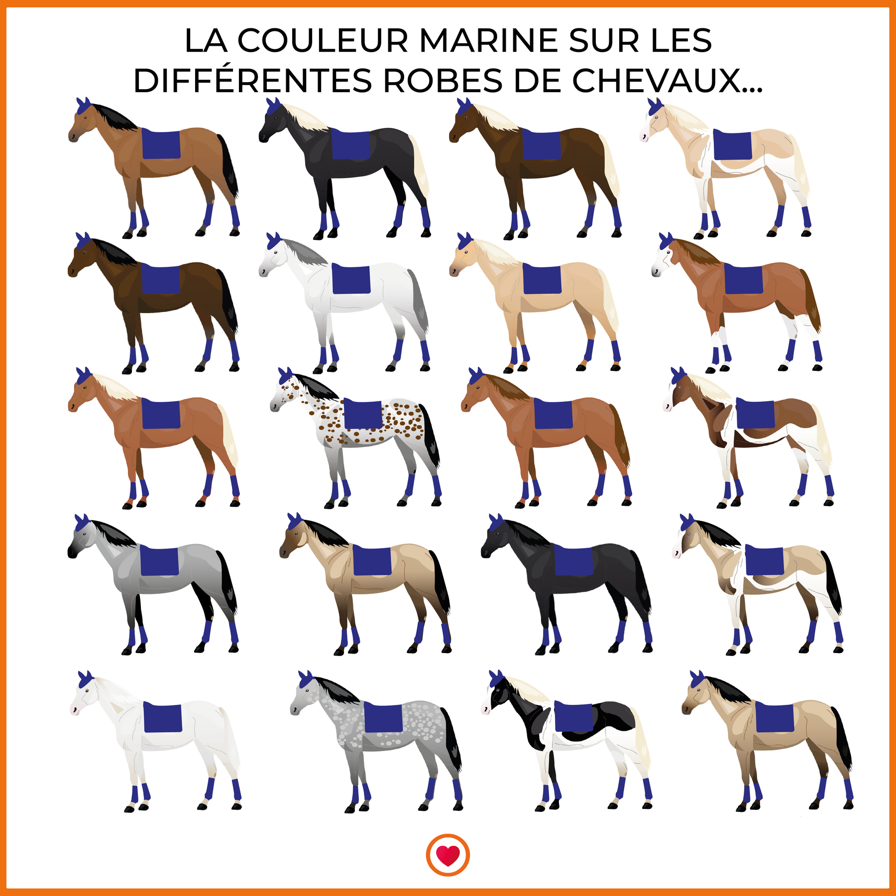 LeMieux - Tapis de dressage Loire Classic Satin marine | - Ohlala