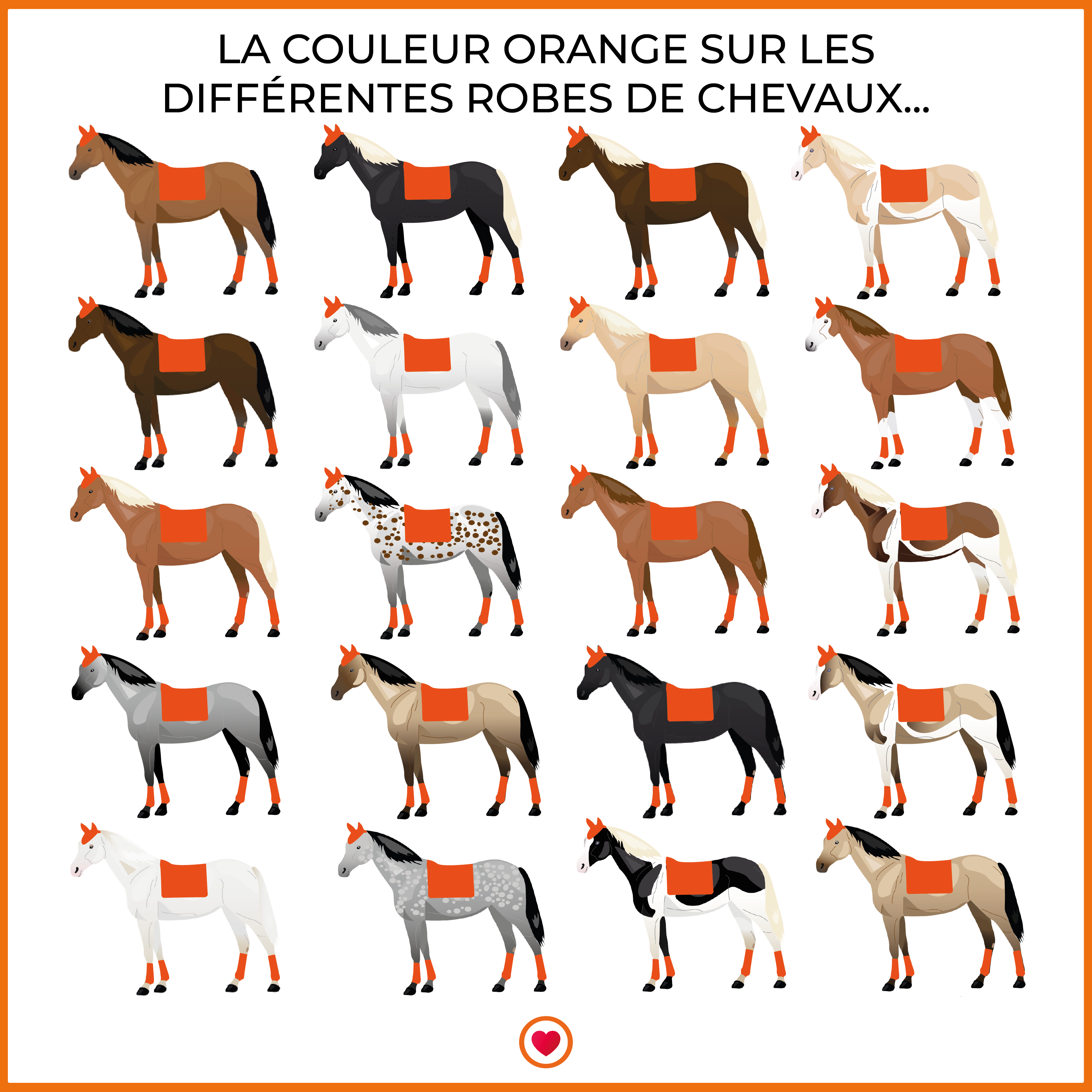 Animo Italia - Tapis de dressage Walzer orange | - Ohlala