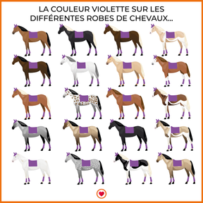 Kentucky Horsewear - Tapis de dressage velvet contrast violet royal | - Ohlala