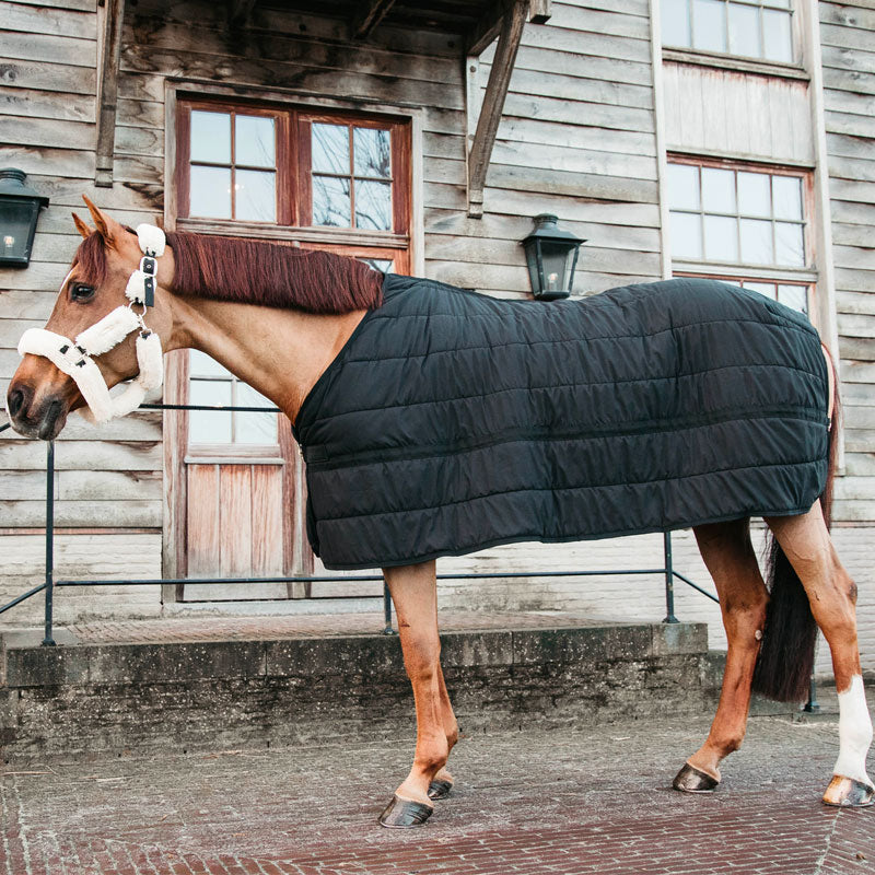 Kentucky Horsewear - Sous-couverture skin friendly 150gr noir | - Ohlala