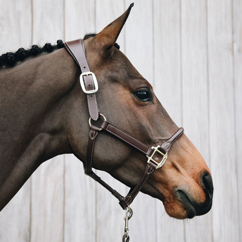 Kentucky Horsewear - Licol cheval anatomique | - Ohlala