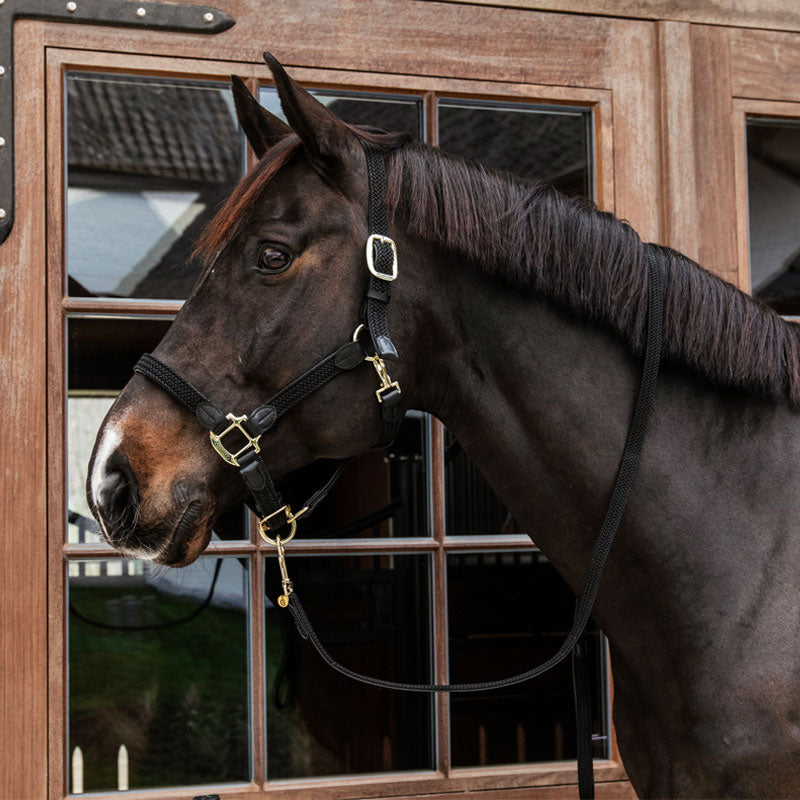 Kentucky Horsewear - Longe en nylon tressé noir 2 m | - Ohlala